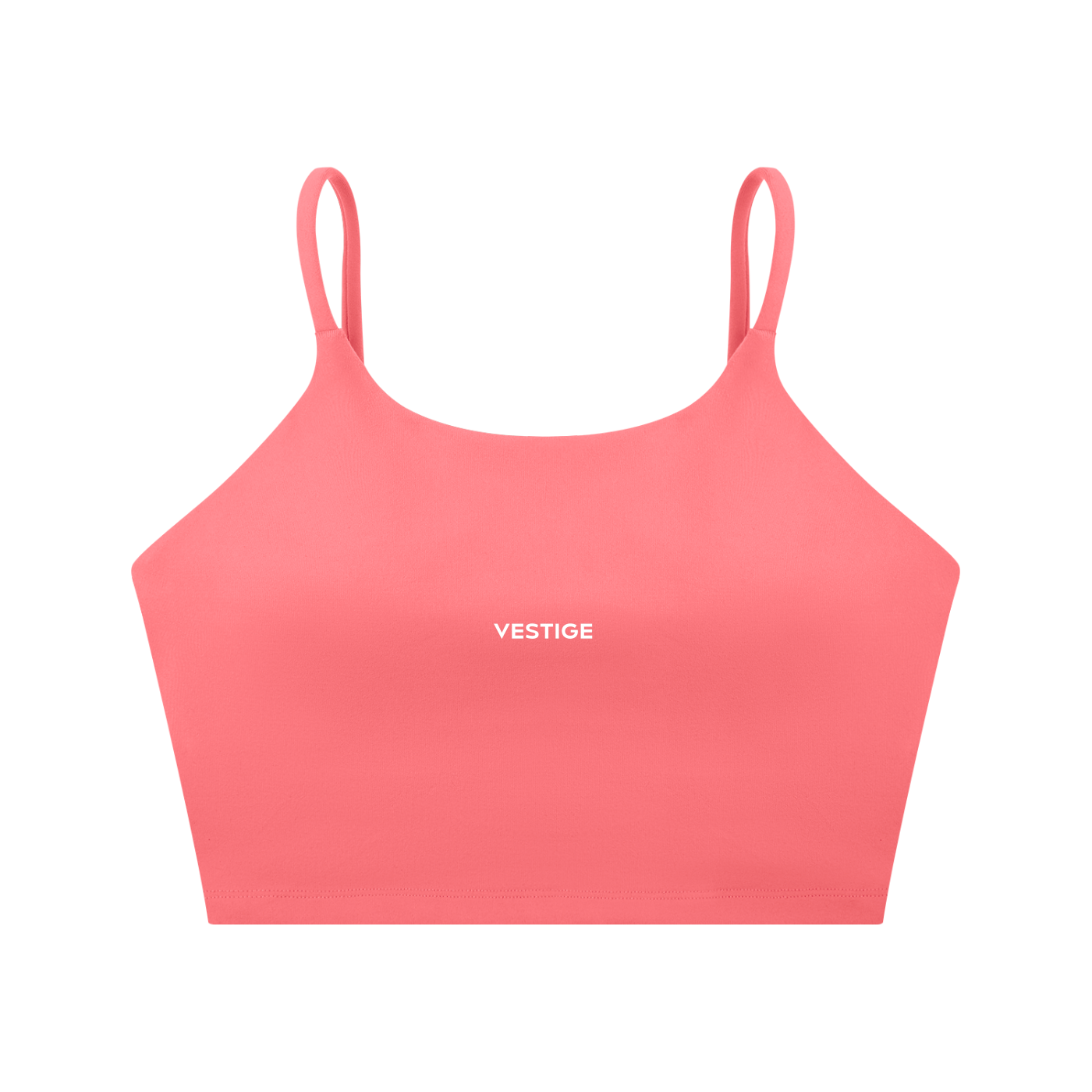 Vestige Bra Top