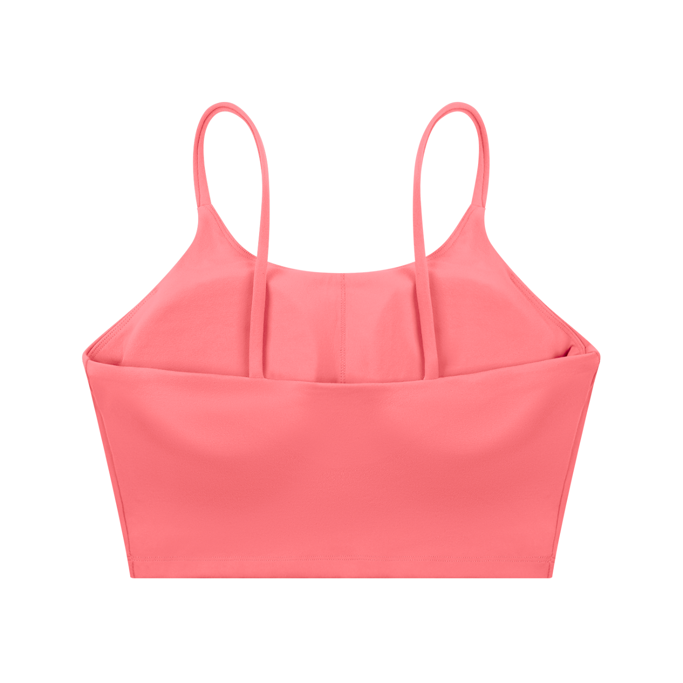 Vestige Bra Top